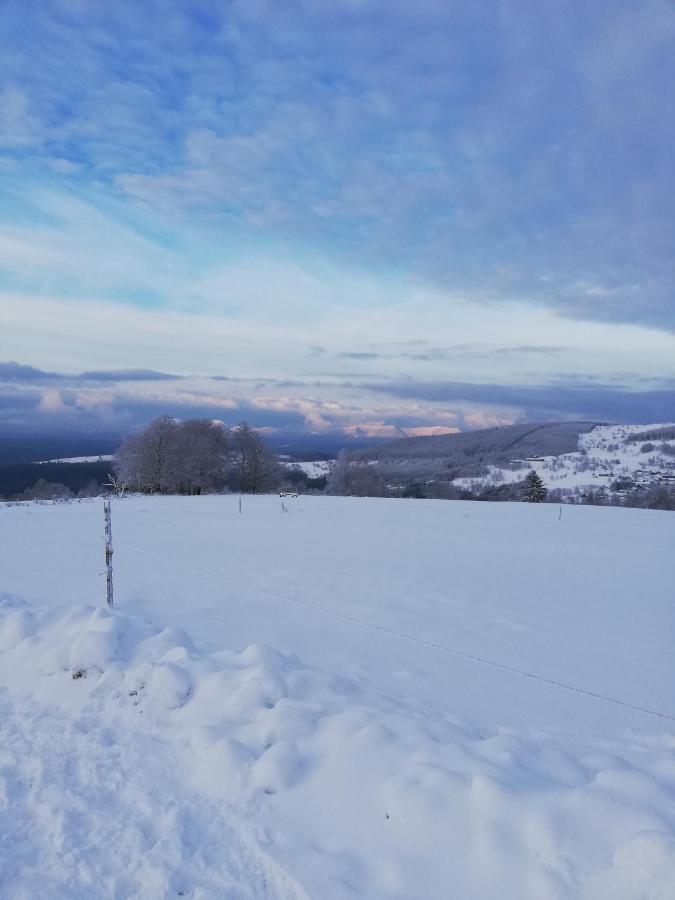 Domaine De Siane Villa Plaine Dış mekan fotoğraf